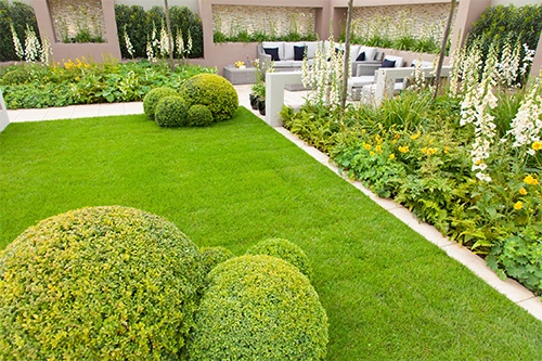 Landscaping servies by home view image